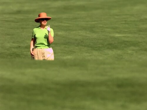 Hillary Scanning Fairway